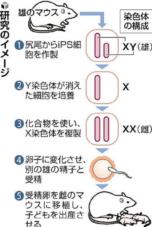 タイトルなし