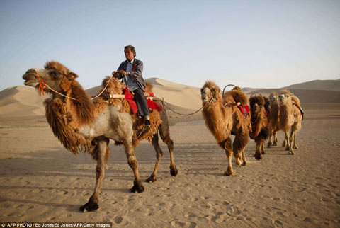 article-2323842-19C03F70000005DC-956_968x649