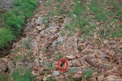 --19966-1279905694-10