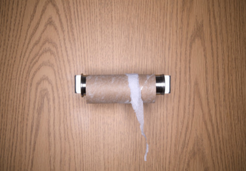 ToiletPaper
