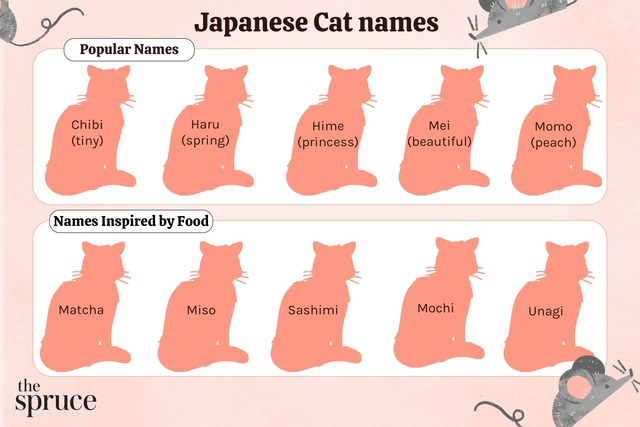 Japanese-cat-names-5070913-0c83f3b58a004f9bafce8405ec442bca