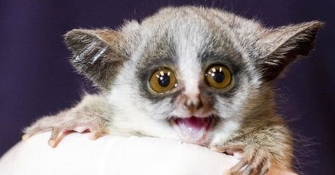 51a1c8c0a9acb9cfe39d26cb1900f0a5