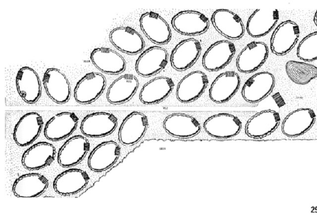 oval-allotment-gardens-4