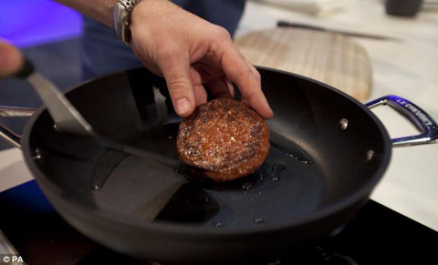 article-2384715-1B284184000005DC-214_634x385