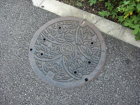 244223959_f301d69cc3