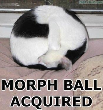 Morph Ball Acquired
