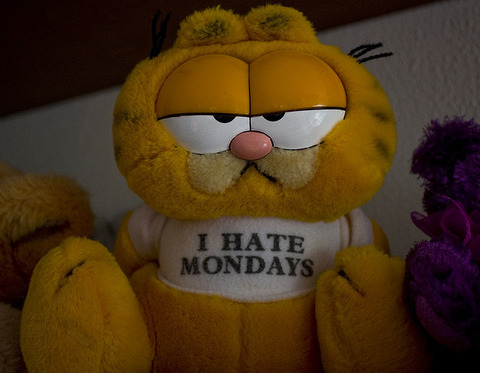 3648029378_a314b3cfc5_z