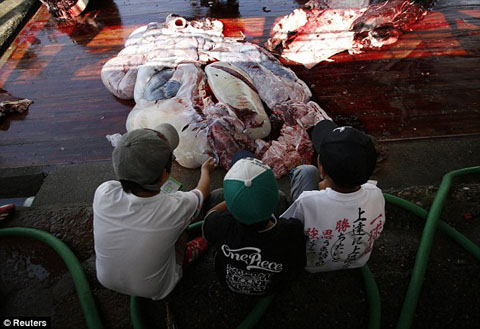 article-2671798-1F2535F300000578-913_634x434