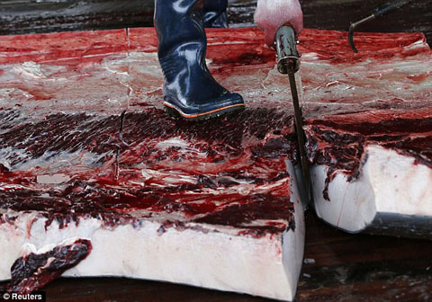 article-2671798-1F25254100000578-685_634x444