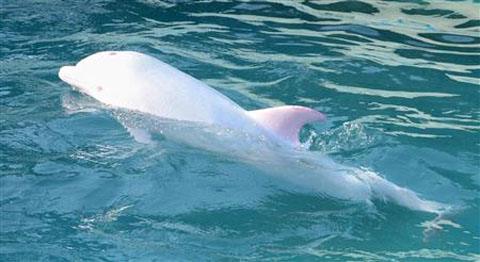 wlf14011820050035-p1