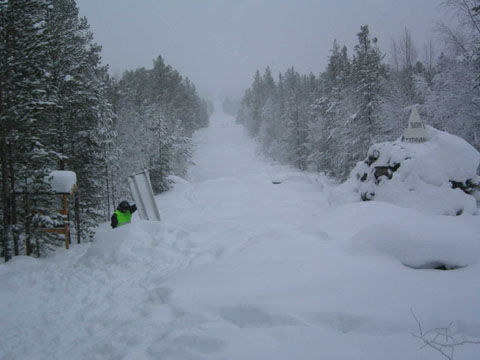 finoru_vinter-trr