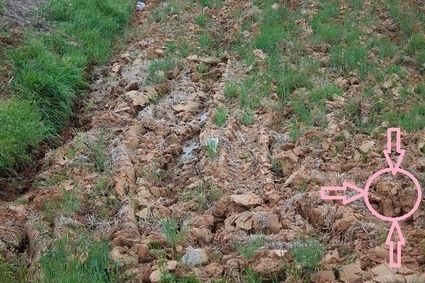 i-can-haz-winnurz-14341-1279844421-102