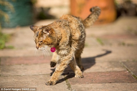 article-2632618-1DFE989B00000578-777_634x423