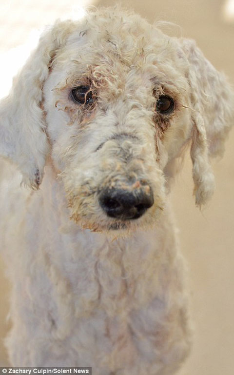 24F1FB4000000578-2921471-image-m-39_1421937802668