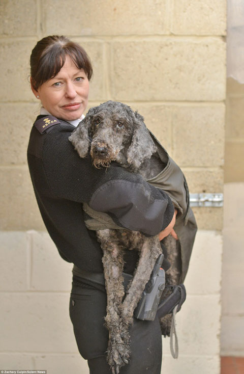 24F1FBF900000578-2921471-image-a-46_1421938177174