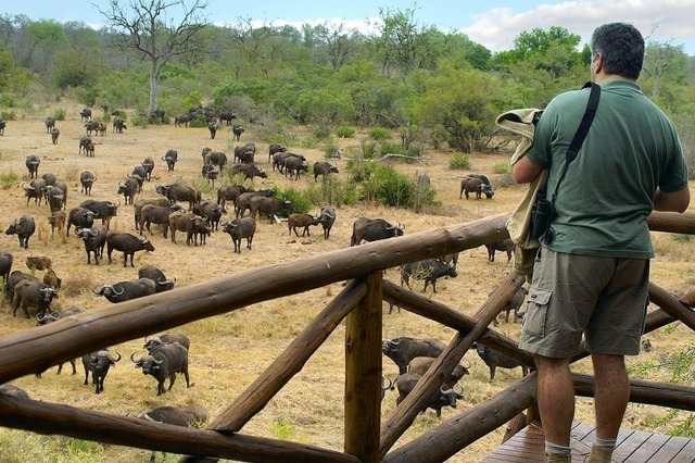 kruger-national-park
