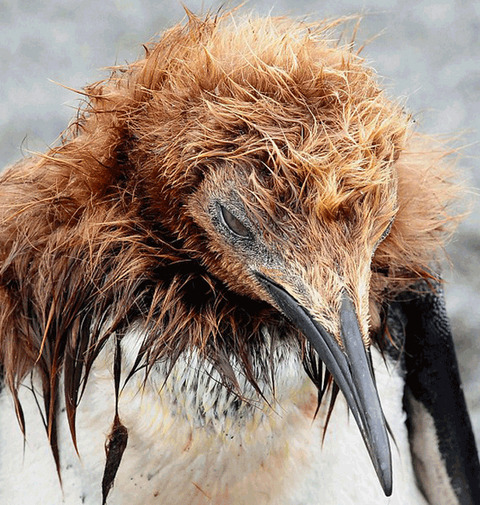 enhanced-buzz-28408-1346864228-12