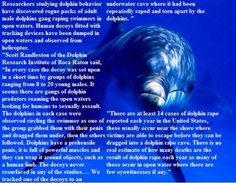 dolphin-rape-caves-500x387