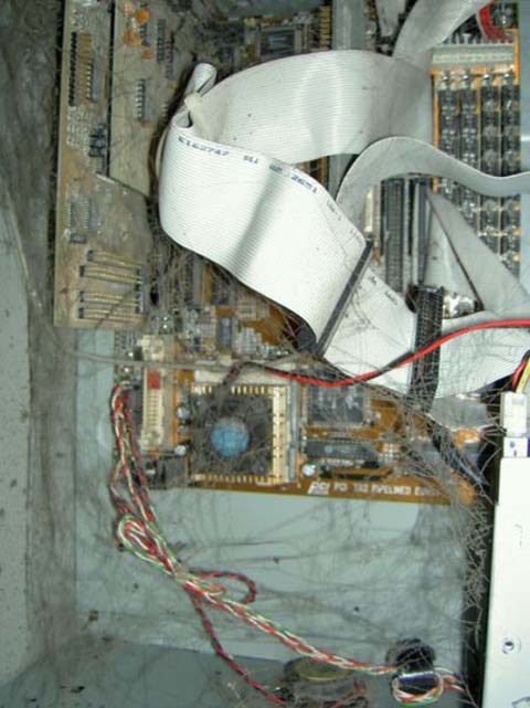 the_disgusting_things_found_inside_pcs_640_12