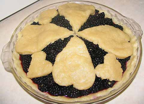 800px-Blackberry_Pie_956px