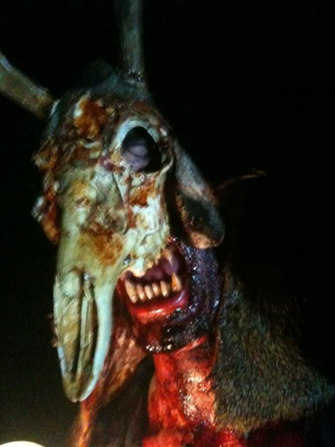 tumblr_lom4xjhvnZ1qigv47o2_500