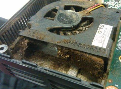 the_disgusting_things_found_inside_pcs_640_33