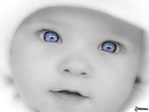 modrooke dieta, babatko 130410