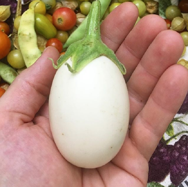 xOHXHMu