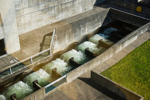 5387880199_b508af9211