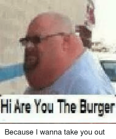 hi-are-you-the-burger-because-i-wanna-take-you-1706968