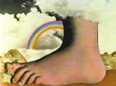 monty_foot