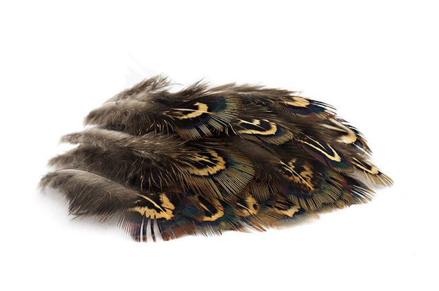 troutline-selected-pheasant-body-feathers-for_tying