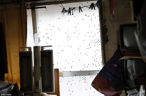 272FCE0200000578-0-image-a-28_1427882170825