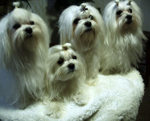 21570_257830756989_246293551989_3931405_1062365_n