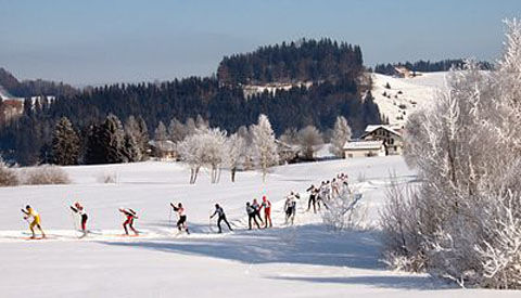 400px-Cross-country_skiing_Schwedentritt