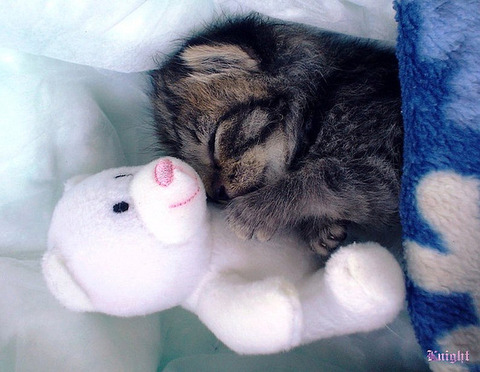 enhanced-buzz-29498-1348850369-1