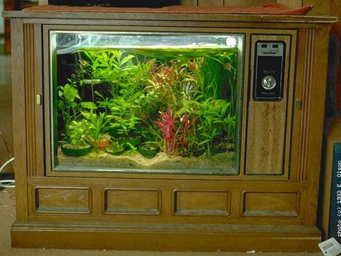 021209fishtv