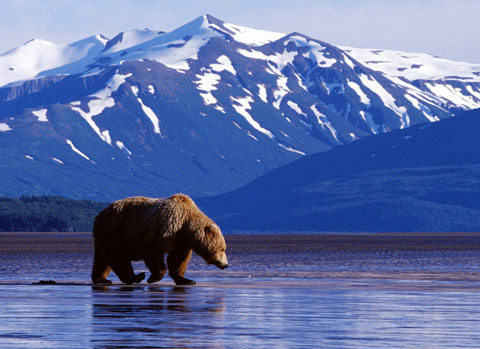 alaskaimage2