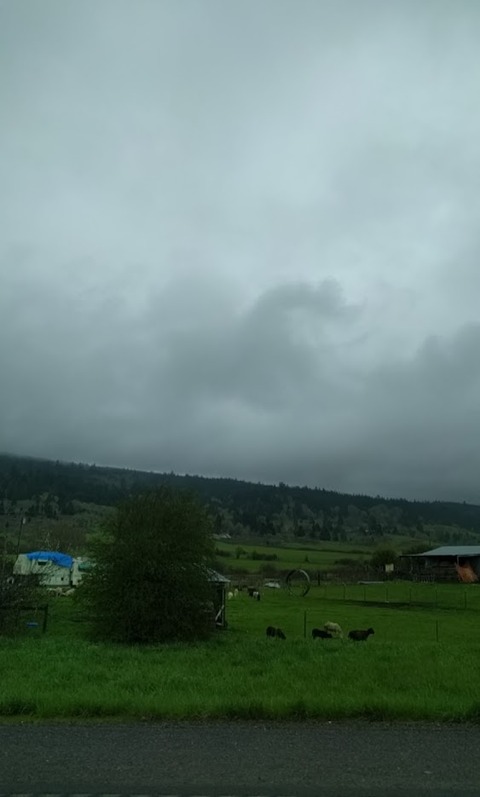 1497814339183