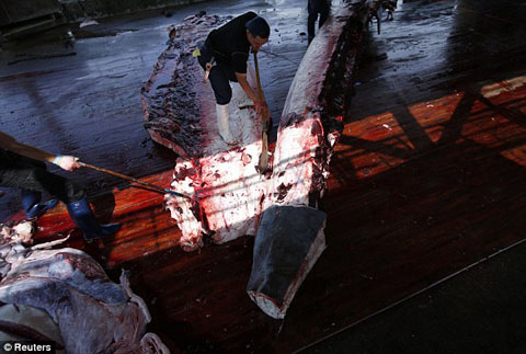 article-2671798-1F24F60B00000578-483_634x427