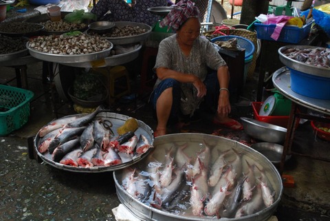 1920px-Basa_fish_-_Vinh_Long_Market