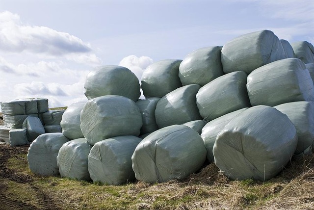 wrapped-hay-bales-mark-williamson