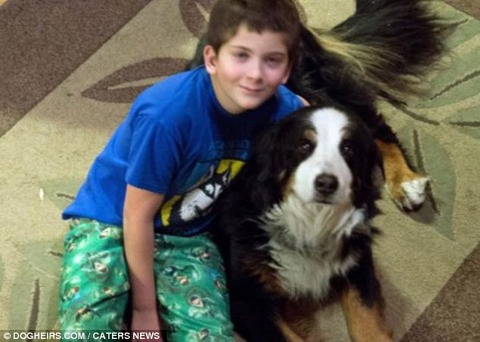 article-2231696-15FC1731000005DC-431_634x452