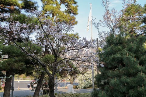 IMG_7280古黒津劇場 駿河小町