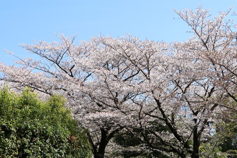 IMG_7970駐車場より
