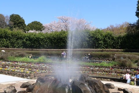 IMG_7980南口広場