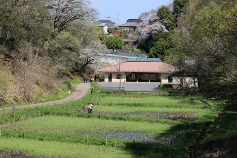 IMG_7898水の谷水田