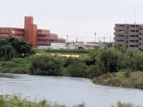 PXL_20261003_045204091