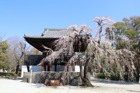 IMG_7206鐘楼堂