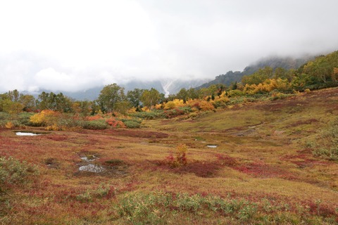 IMG_2424展望湿原